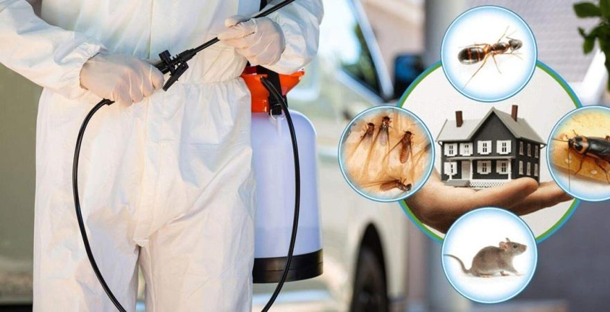 Ahmetbeyli Böcek İlaçlama