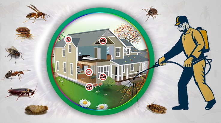 Ahmetbeyli Böcek İlaçlama