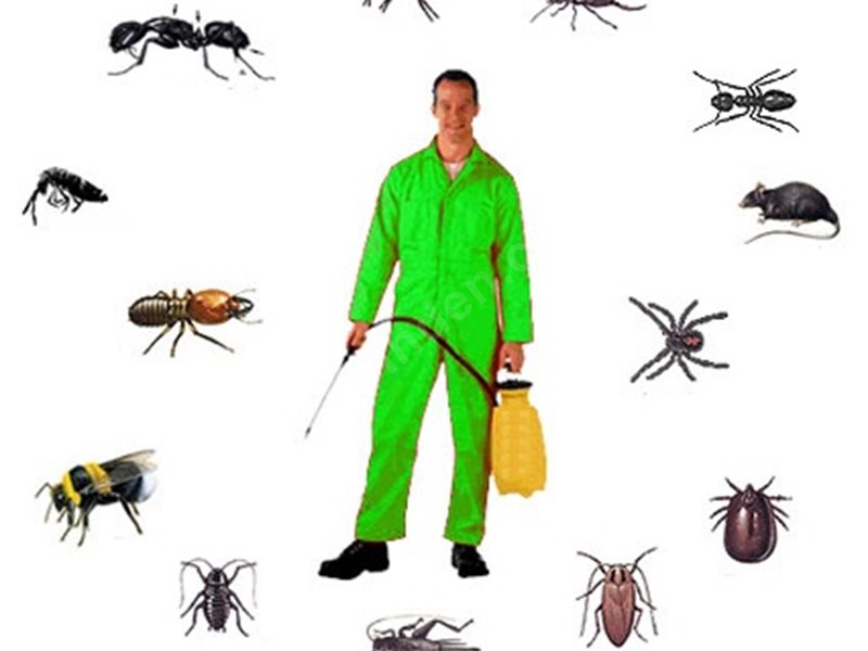 Ahmetbeyli Böcek İlaçlama